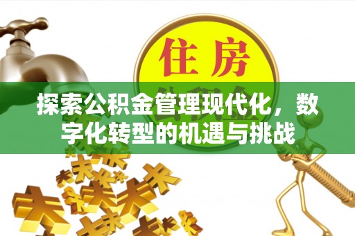 彭泽探索公积金管理现代化，数字化转型的机遇与挑战