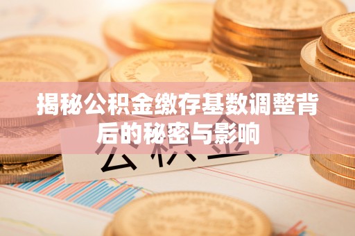 彭泽揭秘公积金缴存基数调整背后的秘密与影响
