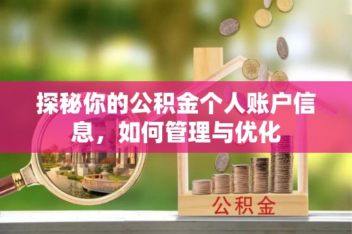 彭泽探秘你的公积金个人账户信息，如何管理与优化