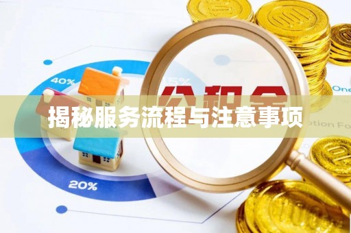 彭泽揭秘服务流程与注意事项