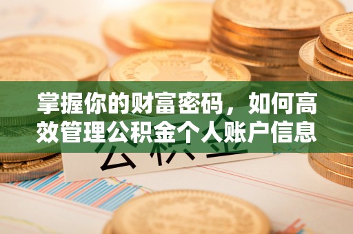彭泽掌握你的财富密码，如何高效管理公积金个人账户信息