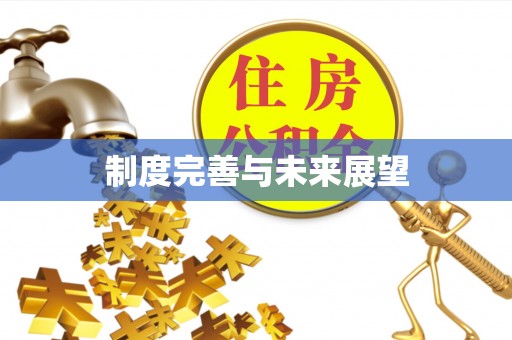 彭泽制度完善与未来展望