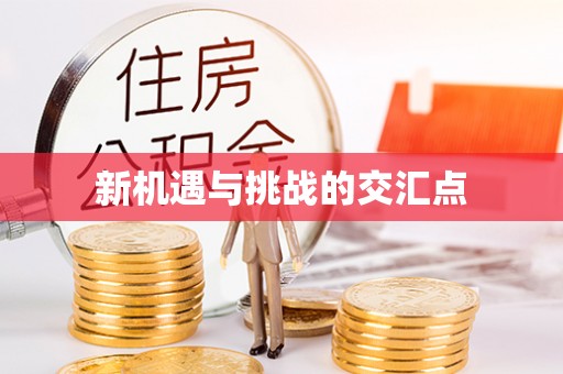 彭泽新机遇与挑战的交汇点