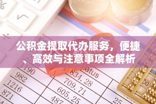 彭泽公积金提取代办服务，便捷、高效与注意事项全解析