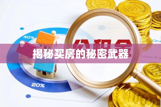 彭泽揭秘买房的秘密武器