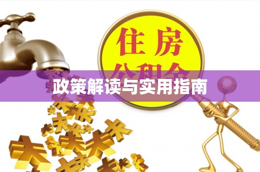 彭泽政策解读与实用指南
