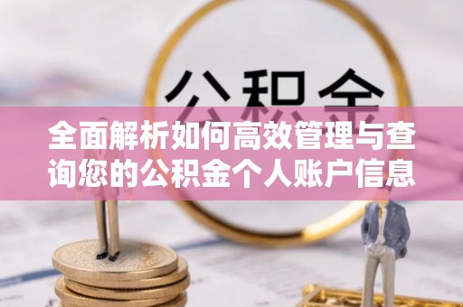 彭泽全面解析如何高效管理与查询您的公积金个人账户信息