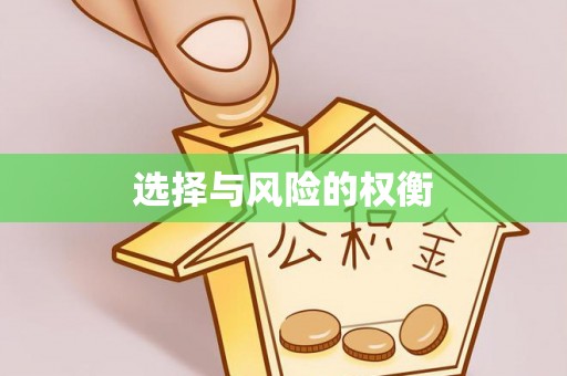 彭泽选择与风险的权衡