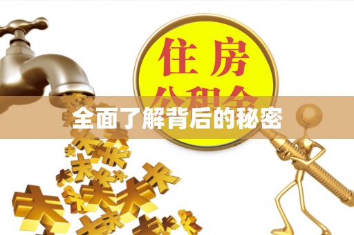 彭泽全面了解背后的秘密