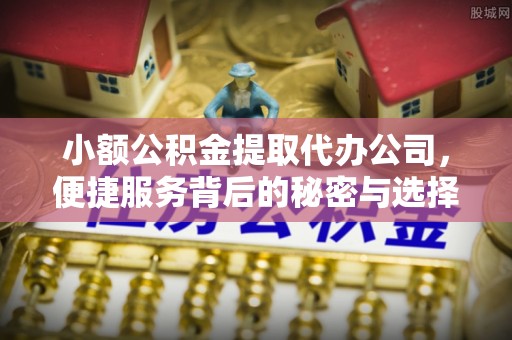 彭泽小额公积金提取代办公司，便捷服务背后的秘密与选择指南