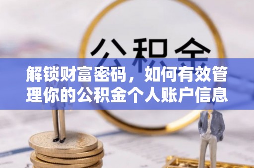 彭泽解锁财富密码，如何有效管理你的公积金个人账户信息