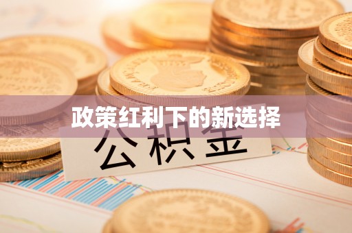 彭泽政策红利下的新选择