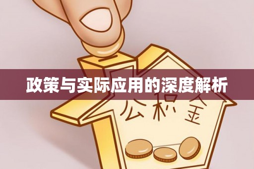 彭泽政策与实际应用的深度解析