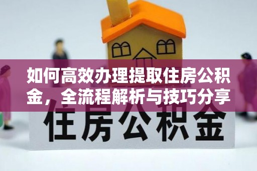 彭泽如何高效办理提取住房公积金，全流程解析与技巧分享