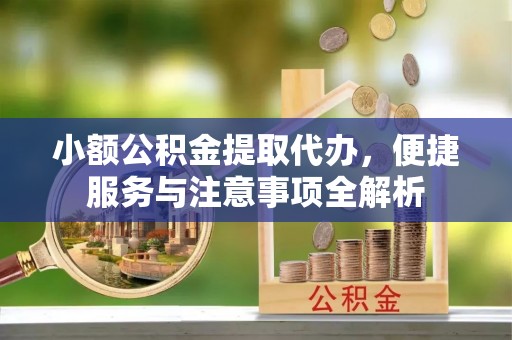 彭泽小额公积金提取代办，便捷服务与注意事项全解析