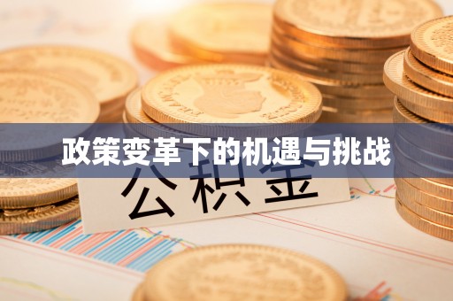 彭泽政策变革下的机遇与挑战