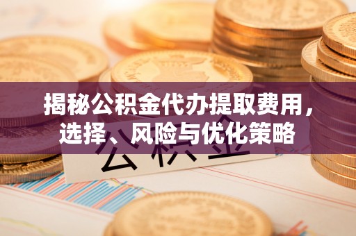 彭泽揭秘公积金代办提取费用，选择、风险与优化策略
