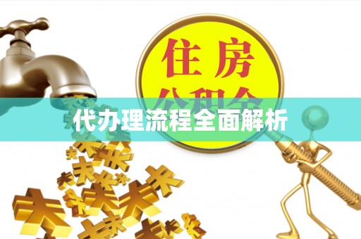 彭泽代办理流程全面解析