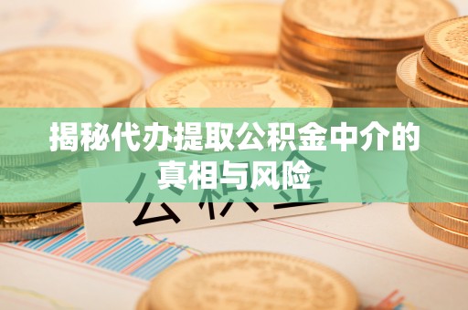 彭泽揭秘代办提取公积金中介的真相与风险