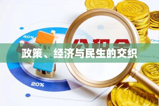 彭泽政策、经济与民生的交织