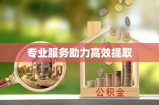 彭泽专业服务助力高效提取