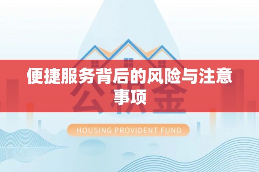彭泽便捷服务背后的风险与注意事项