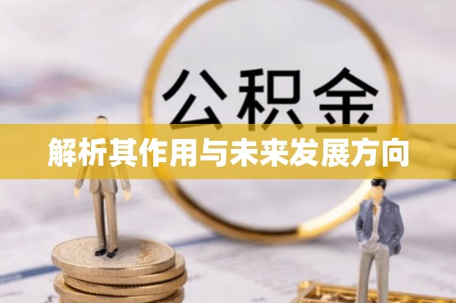 彭泽解析其作用与未来发展方向