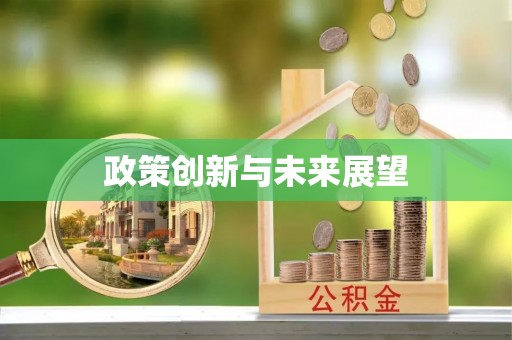 彭泽政策创新与未来展望
