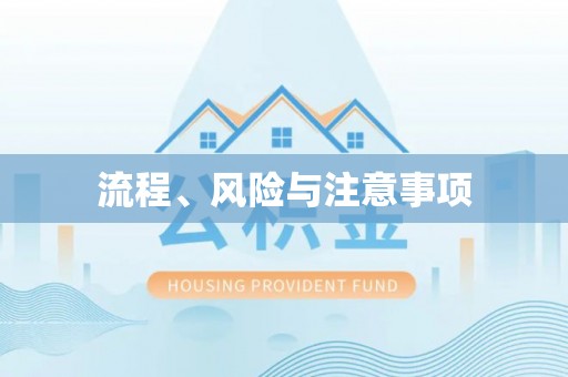 彭泽流程、风险与注意事项
